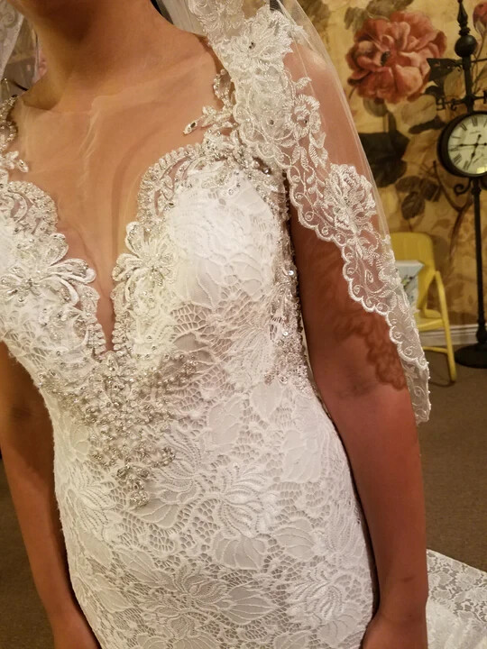 Picture 3 of 14