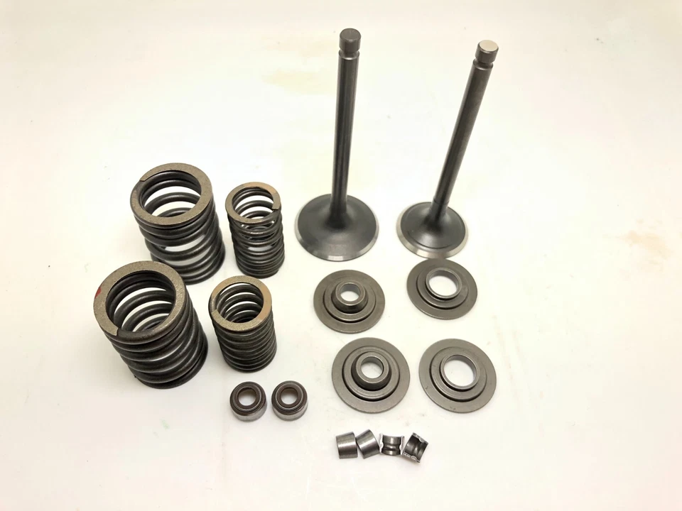 Kit completo de válvulas para Yamaha SR250 TT250 XT250 BW350 MOTO-4 Big Bear YFM350 Foto 3 de 4