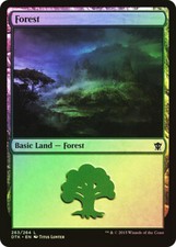 MTG FOIL Forest 263  - Dragons of Tarkir #263