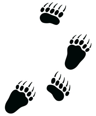#ad Grizzly Bear Tracks Decals Sticker Hunting Several Colors and Sizes Available $4.99