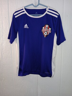 Adidas Bloomfield SOCCER Club Boys S Entrada 18 Jersey Purple