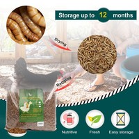 Dried Mealworms Bulk Non-GMO Natural for Wild Blue Bird Food Chickens Hen Treats 5