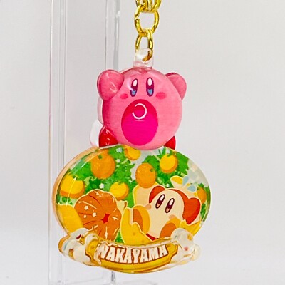 超美品！Dream65 Wakayama Mikan Kirby Dream Land Gotochi Pukkuri Clear Keychain