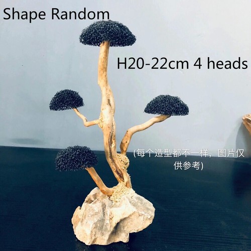 Aquarium Moss Tree Driftwood Fish Tank Landscaping Water Grass Moss Tree Trunk - 第 12/27 張圖片