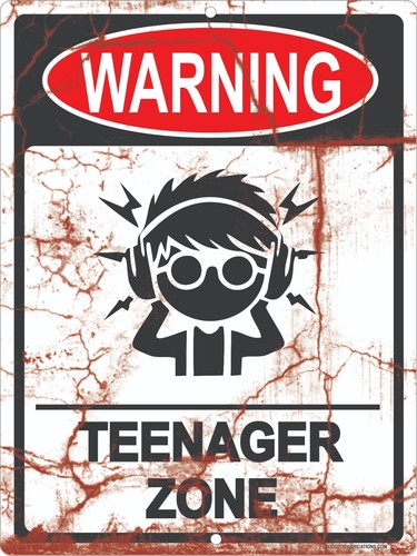 ⚠️ "Warning Teenager Zone" Funny Metal Sign - 9x12 - Faux Rust Home Decor ⚠️ - Picture 1 of 5