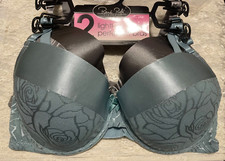 Rene Rofe Lot of 2 Bras 40D Lightly Padded Perfect Fit Bras Blue Grey