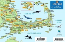 Cape Cod Visitor's Map & Wildlife Guide