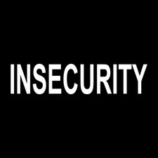 Insecurity Security Guard Decal Sticker White Die Cut Vinyl