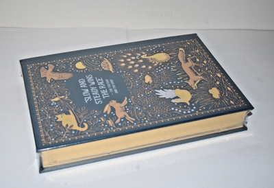 Aesop アートブック NEW Aesop's Fables Aesop Illustrated Rackham Sealed Leather Bound
