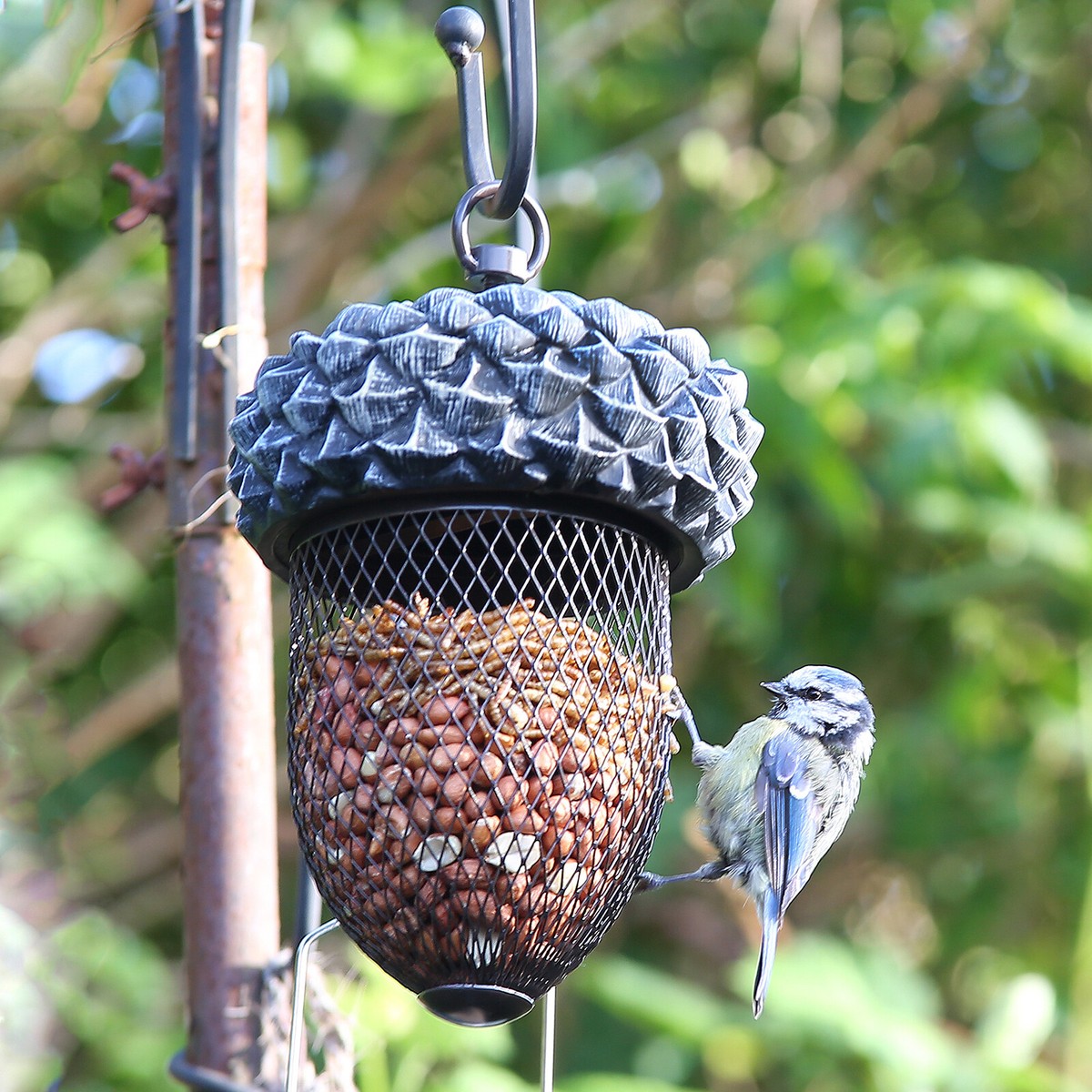 Buzzeap Metal Bird Feeder - 2.5lb Capacity Chew-Proof Feeder | Rust-Proof Outdoor Garden Decor