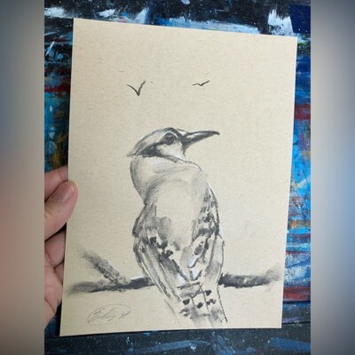 Original Painting Jay bird art charcoal pastel Nature artwork By Artettina USA