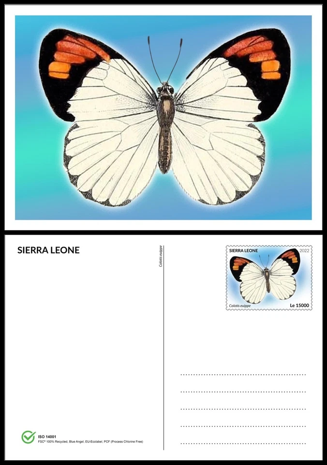 Butterflies MNH Stationery Cards 2022 Sierra Leone 6 Cards 100% Recycled Paper - Image 3 of 4