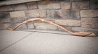 Picture 4 of 4