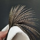Picture 2 of 6