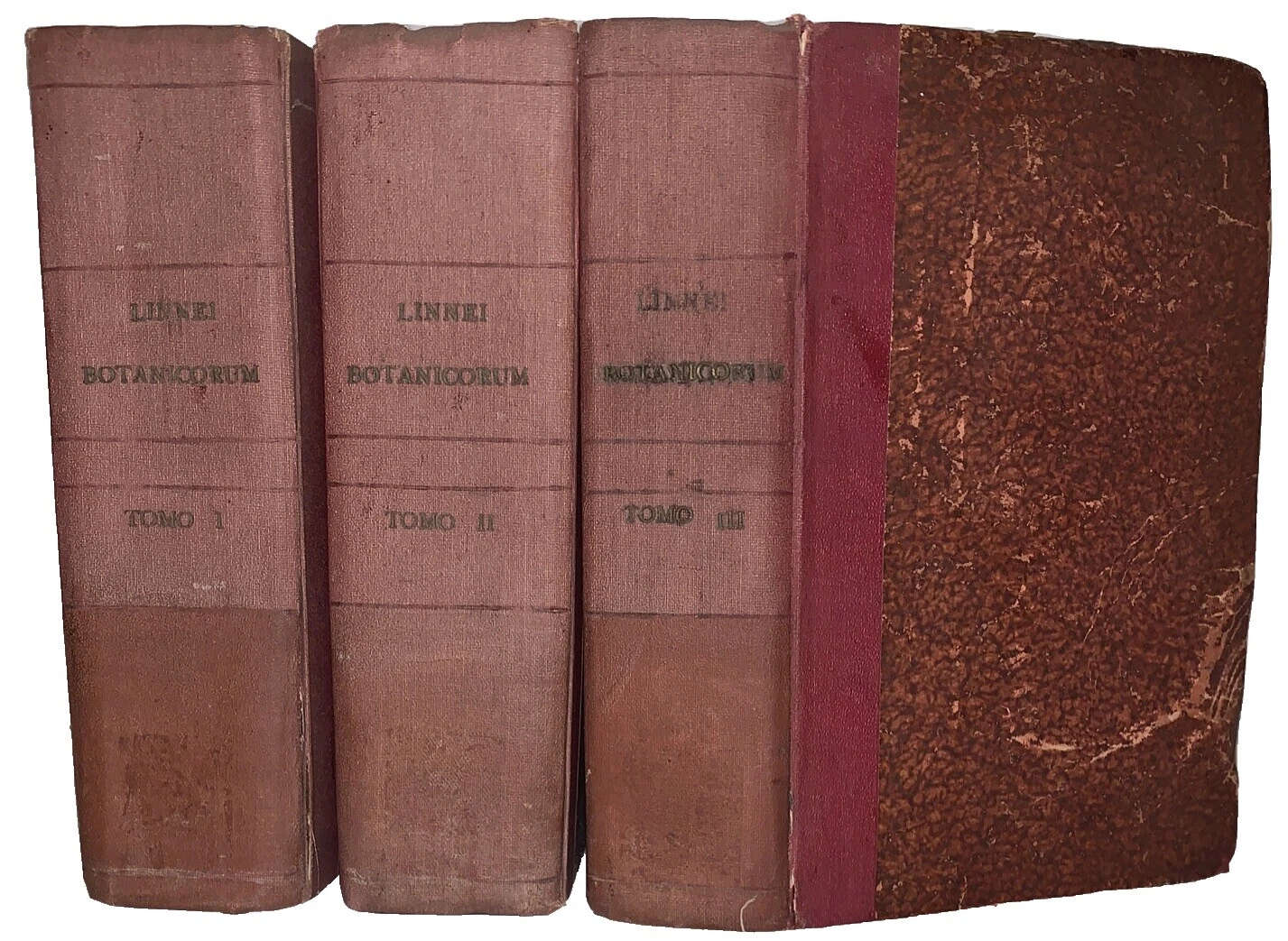 Cloth First Edition Antiquarian & Collectible Books in Latin
