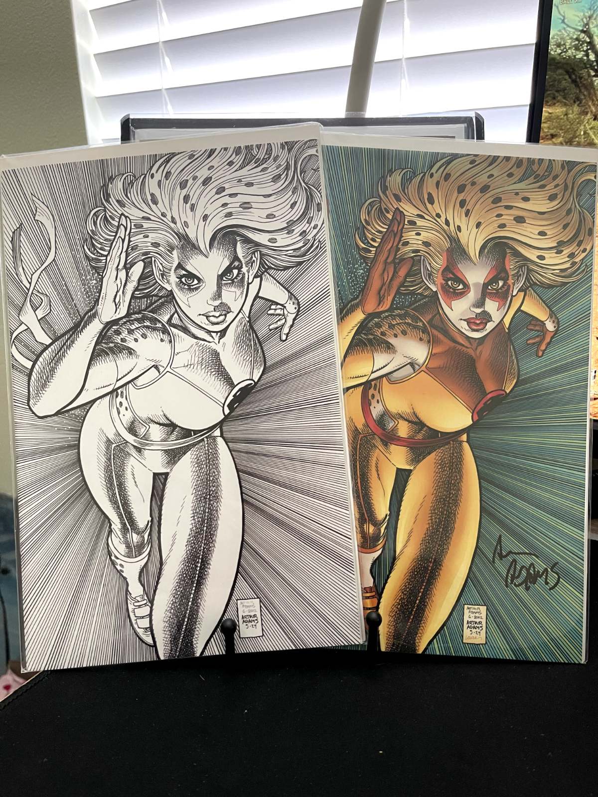 Thundercats: Cheetara #1 - SDCC Virgin & Sketched - Signed Arthur Adams W/COA