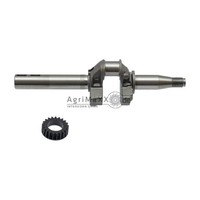 Briggs & Stratton Kurbelwelle - 590537
