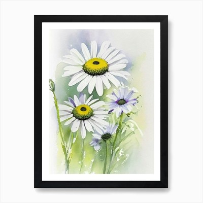 Oxeye Daisy Wildflower Aquarell gerahmt Wandbild Poster Leinwanddruck Bild