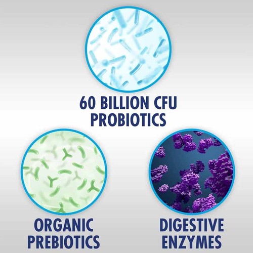 Probiotics 60 Billion CFU - Prebiotics, Digestive Enzymes - Digestive Health - Picture 3 of 11