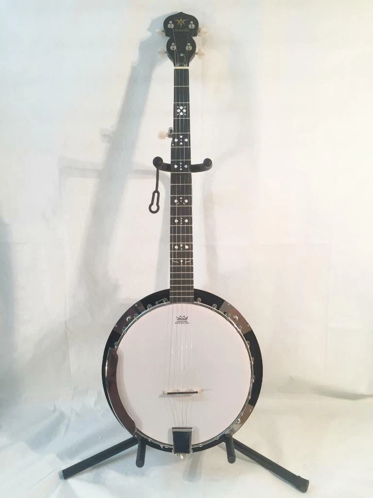 Danville 5 cheap string banjo