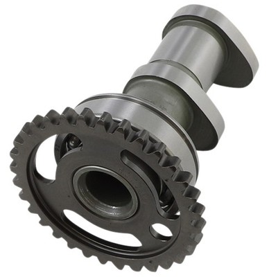 Hot Cams 2067-2IN Stage 2 Intake Camshaft