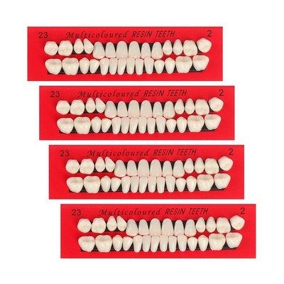 4 Sets Acrylic Resin Fake Teeth Complete Acrylic Resin Teeth Denture Dental Teet