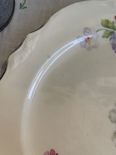 Homer Laughlin Virginia Rose Luncheon Plates 9 1/4" Silver Trim Set of 2 - Afbeelding 4 van 6