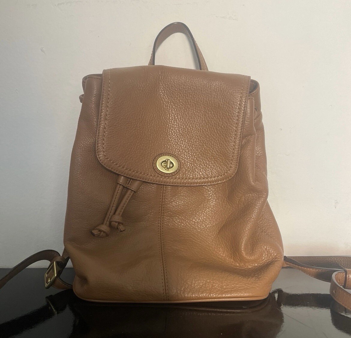 Coach Backpack - image 1