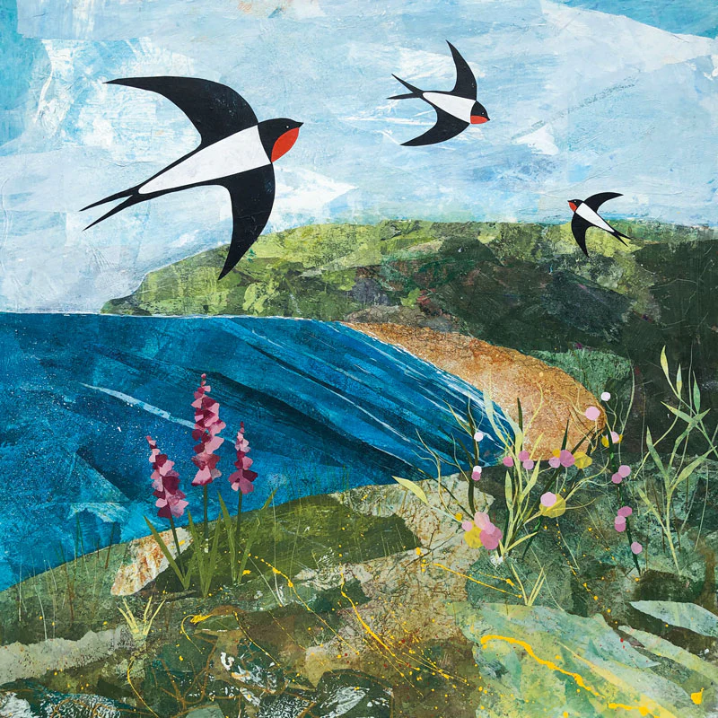 Summer's Here  - Art Blank Greeting / Birthday Card - Swallows Birds Sea Coast