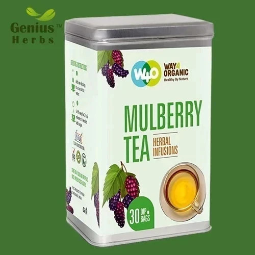 WAY 4 ORGANIC W4O Mulberry Tea in Dip 30TB 100G