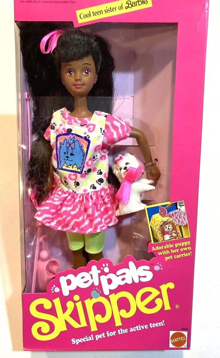 Barbie Cool Teen Sister Pet pals Skipper AA doll Mattel 4049