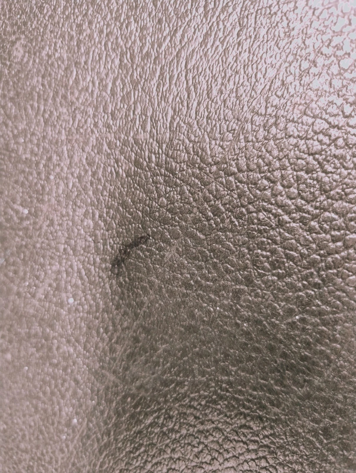Picture 14 of 23