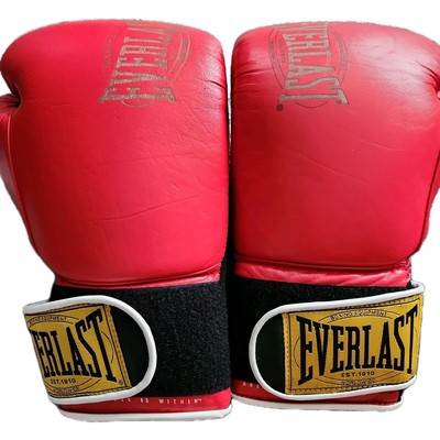 NEW EVERLAST 1910 PRO HOOK AND LOOP PREMIUM LEATHER BOXING GLOVES