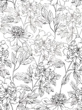 Jiffdiff White Sketch Floral Wallpaper 393"X17.3 Peel And Stick Retro Sticker