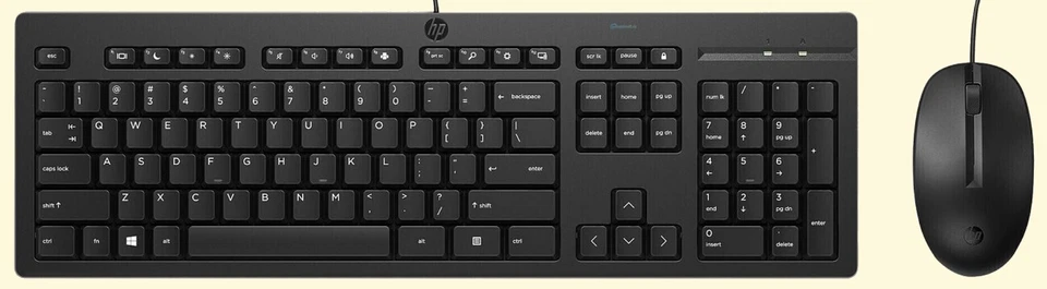 USB Tastatur Maus Set - Zusatzangebot! BITTE LESEN – KEIN EINZELVERSAND!