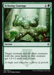 Echoing Courage 166/249 Masters 25