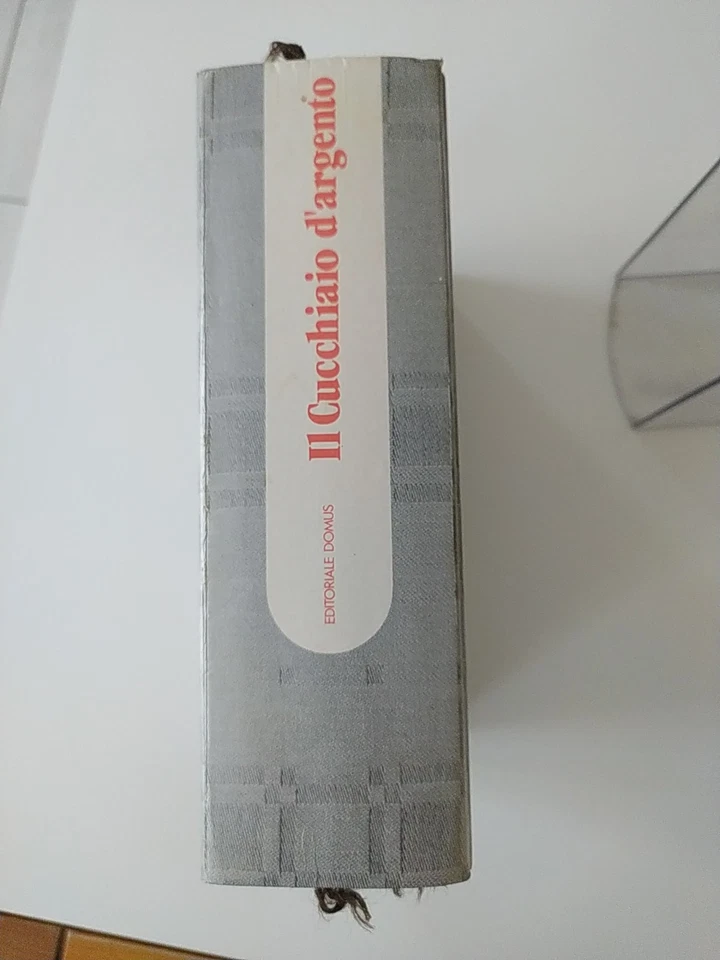 IL CUCCHIAIO D'ARGENTO con custodia in plexiglass - SPEDIZIONE GRATUITA - Immagine 2 di 4