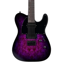 ESP LTD TE-200DX Electric Guitar, Rosewood Fingerboard, Purple Burst