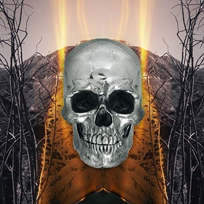 Ulrich Schnauss & Mark Peters - Destiny Waiving (LP) [VINYL]