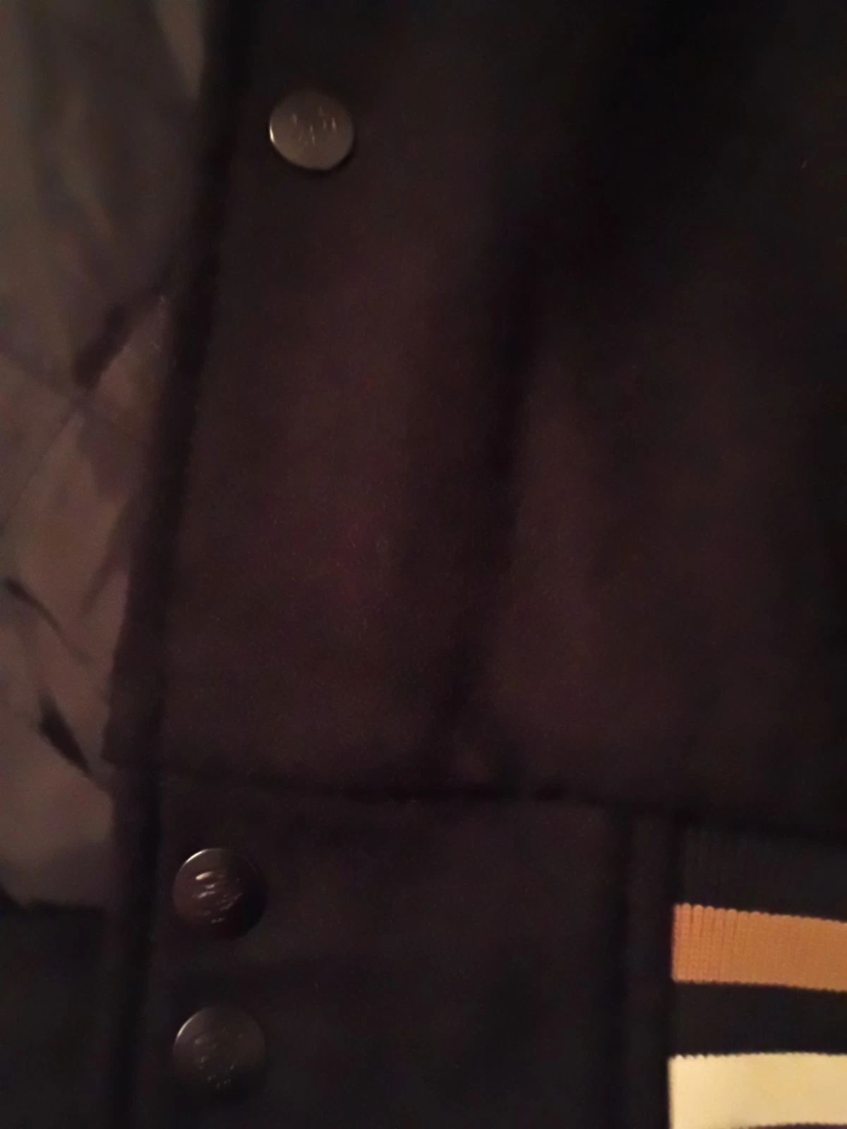 Steve Perry Jacket  image 6