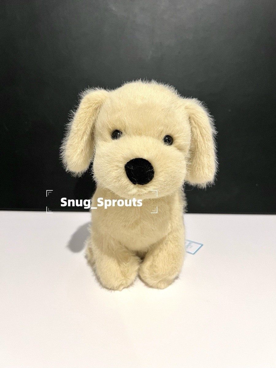 ジェリーキャット　ゴールデン パピー Golden Puppy 犬 Meet Our New Golden Puppy - A Joyful Addition! | TikTok