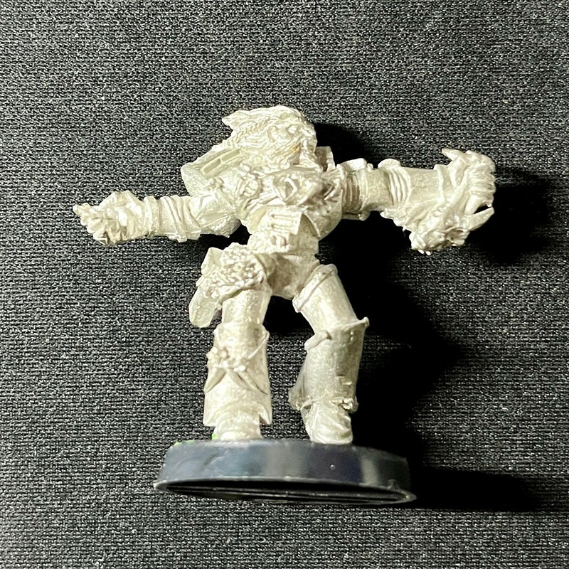 Warhammer 40k - Space Wolves Wulfen - 13th Company - Metal Rare and OOP
