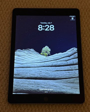 Apple iPad 5th Gen 32GB Wi-Fi 9.7in Silver Tablet Touchscreen iPadOS