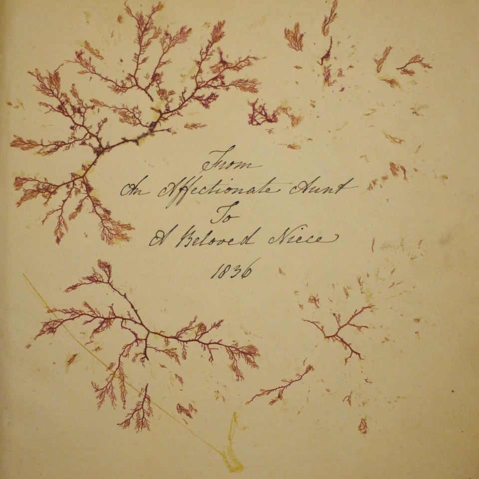 * Rare * Victorian MSS and Photograph Album in Full Leather.... 1836-1883 - Image 3 of 4