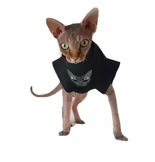 Gucci Cat Clothes  Luxury Gucci Coat for Sphynx Hairless Cat ?