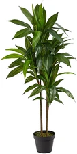 48In Dracaena Silk Plant (Real Touch) Green