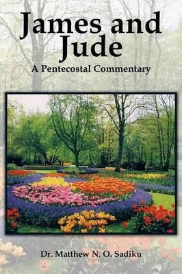 Matthew O Sadiku James and Jude (Taschenbuch)