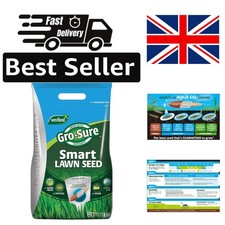 Durable Aqua Gel Coated Grass Seed (3.2 kg) for Lush 80 m² Lawns - Blue/Green 19.06 per kilo