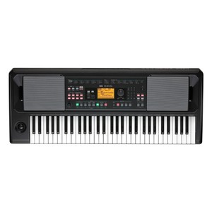 Korg Ek 50 | eBay