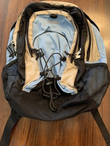 ll bean baby hiking backpack